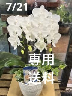 送料 - メルカリ
