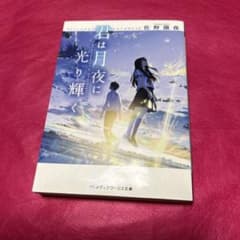 君は月夜に光り輝くのサムネイル