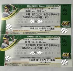 阪神タイガース対日本ハム振替試合のサムネイル