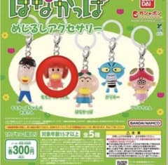 はなかっぱ めじるしアクセサリーのサムネイル