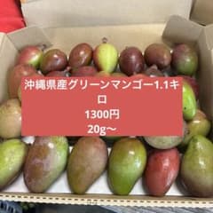 沖縄産摘果マンゴー　1、1キロのサムネイル
