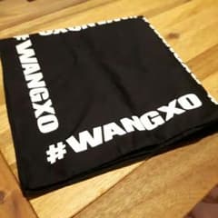 (値下げ)Alexander Wang アレキサンダーワン　バンダナのサムネイル