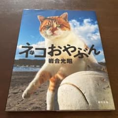 岩合光昭 写真集 「ネコおやぶん」のサムネイル