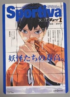 ハイキュー ショーセツバン ビジュアルボード sportiva 影山飛雄