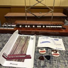 スズキ楽器 大正琴 桜 - メルカリ