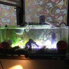 水槽60cmのサムネイル