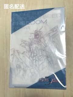 기동전사 건담 SEED FREEDOM 클리어 파일