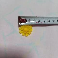 刺身の飾り(菊の花)のサムネイル
