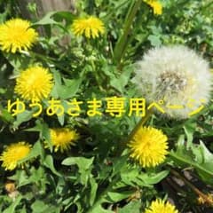 ☆ゆうあさま専用ページ☆のサムネイル