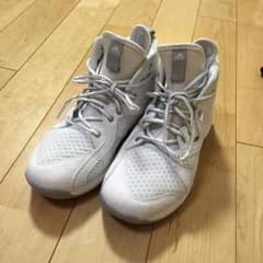 バッシュのサムネイル