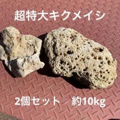 m23006507660_1.jpg?1717763431