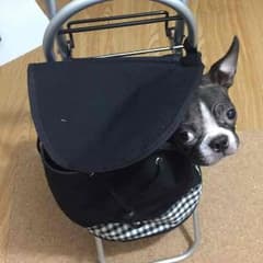 mrm様専用のサムネイル