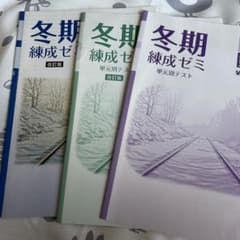 冬期 練成ゼミ 中2 数学 英語 理科のサムネイル