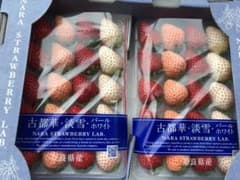 奈良●3色いちご●2パックのサムネイル