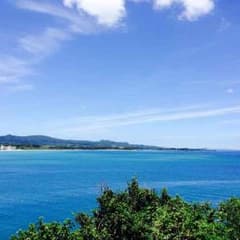 一週間分のサムネイル