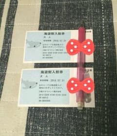海遊館☆入場券☆2枚セットのサムネイル