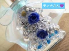 ティナさま❤のサムネイル