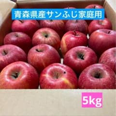 青森県産　サンふじ　家庭用　5kgのサムネイル