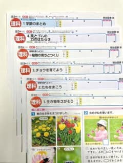 小学3年・理科1学期分カラーテストのサムネイル