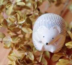 ぽれぽれ動物　ハリネズミ2個のサムネイル