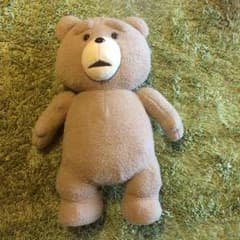 TED♥︎ぬいぐるみ ひよこ豆様のサムネイル