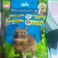 ヒカリデグデグのサムネイル