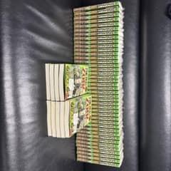 ワンピース ゾロ novel イラストカード 特典付き 50冊 未読品 - メルカリ