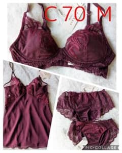 新品 4点セット トリンプ フロラーレ FL111 C70 Mのサムネイル