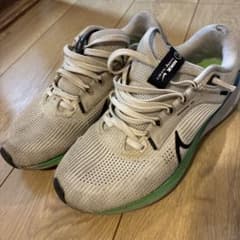 Nike ランニングシューズ ペガサス40 25.5cmのサムネイル