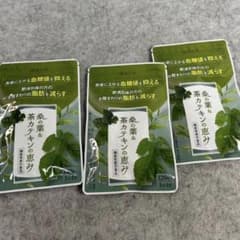 漢方セレクト 桑の葉&茶カテキンの恵み 120粒 3セット - メルカリ