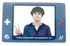 DISH//SUMMER AMUSEMENT