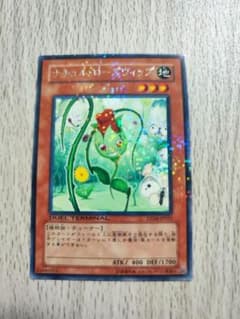 ナチュル・ローズウィップのサムネイル
