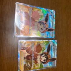 ポケモンごっこSR2枚のサムネイル