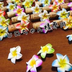 ☆ヒロちゃん様専用ページ☆のサムネイル