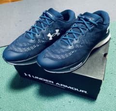 美品UNDER ARMOUR (結ばない靴ひも付き)のサムネイル