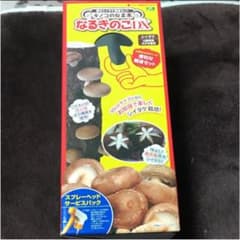 【新品未使用】きのこのなる木 シイタケ なるきのこ DX お部屋で楽しく栽培のサムネイル