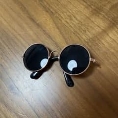 サングラス　ペットのサムネイル