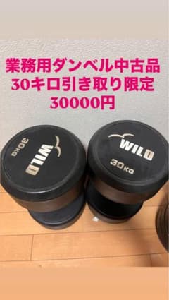 WILD 30kg ダンベル 中古品 m23136629042_1.jpg?1748323780