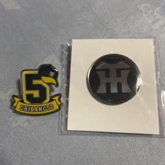 阪神タイガース　ピンバッチ　近本選手のサムネイル