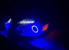 RGB LED イカリング ヘッドライト 本体 リモコン付のサムネイル