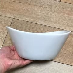 コストコ 皿 二枚セットのサムネイル