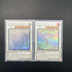 遊戯王 スターダスト・ドラゴン ブラック・ローズ・ドラゴン 韓国版
