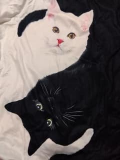 【4L☆週末セール中です】白猫と黒猫 Tシャツのサムネイル