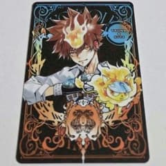 沢田綱吉 リボーン ジャンプフェスタ 特典 ボドゲ カード マンガボドゲ 特典 ジャンプフェスタ マンガボドゲ 沢田綱吉 リボーン ジャンフェス