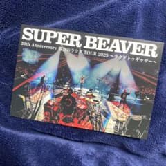 SUPER BEAVER 友の会 ポストカード ラクダトゥギャザー - メルカリ