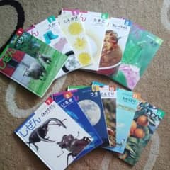 キンダーブック　しぜん　絵本　12冊セットのサムネイル