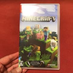 専用　Minecraft Nintendo Switch版のサムネイル