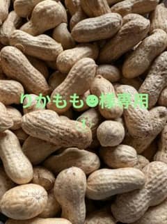 『りかもも☻様専用①』千葉県産　農薬不使用　おおまさり1㌔のサムネイル