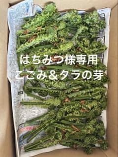 はちみつ様専用ページのサムネイル