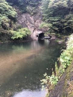 ハイアンド様　専用のサムネイル